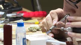 France: Race for medals heats up on last day of 47th WorldSkills Competition