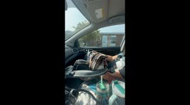 My teenage daughters reaction to her ex boyfriend buying her a baby bearded dragon.