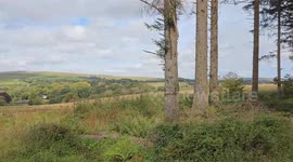 Strange Happenings up on Bellever Forest Dartmoor National Park Devon UK