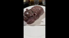 This hyper-realistic baby hippo cake looks mouthwateringly good