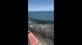 School of fish and rays sighted near shore in Maspalomas