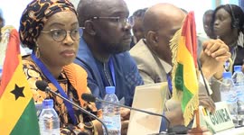 Guinea: WAMZ 2024 mid-year statutory meetings in Guinea assess monetary integration