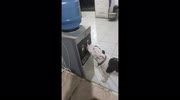 temp