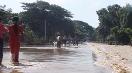 Over 47,000 acres of crops drown in floods in Myanmar's Nay Pyi Taw