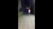temp