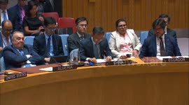 USA: Chinese envoy urges U.S. to push Israel to comply with UNSC resolutions