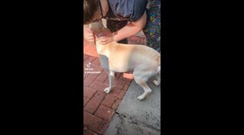 Boo Boo trying to hide her treat 