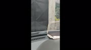 temp