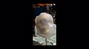 temp
