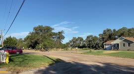 Rustling Trees under Cloudy Sky
