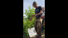 Up Close with a Real Wolverine Feeding