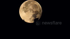 Stunning HD footage supermoon setting behind Swiss Alps