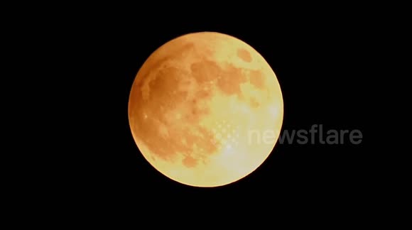 Harvest Moon Partial Lunar Eclipse - Buy, Sell or Upload Video Content ...
