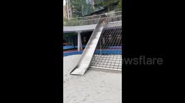 China: Dog Playing a Slide