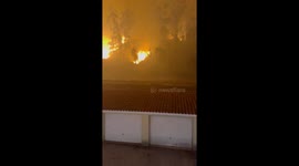 Severe wildfire burns behind residential area in Albergaria-a-Velha, Portugal