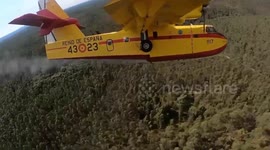 Portugal: Firefighters Continue Battle Against Wildfires in Aveiro, Portugal