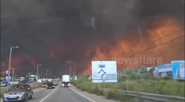 Portugal: We Are in Hell, Surrounded by Fire: Albergaria-a-Velha's Descent into Wildfire Chaos