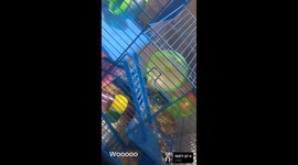 Got my daughter a little hamster… and the little guy is off his absolute paws