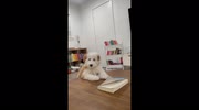 temp