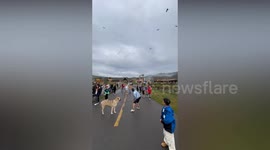 Tourists throw food in the air for eagles to swoop down and grab