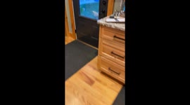 Dog Brings Corn Stalk To Door