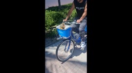 Monkey in a Bike Basket