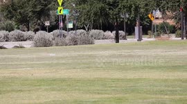 Phoenix Breaks High Temperature Streak