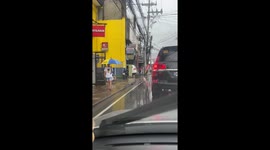 Stray dog wears raincoat during storm in city