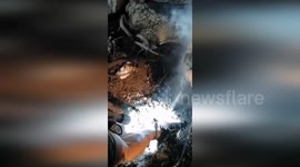 Italy: Firefighters Save Dog Trapped in Well in Scicli