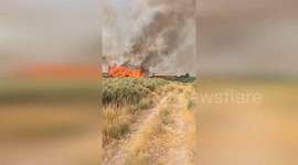 Spain: Fire Ravages 40 Hectares at A Mezquita, Now Under Control After Intense Battle