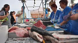 Malta Int'l Fish Fest held in Marsaxlokk