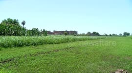 Egypt's agro-exports exceed 6.4 mln tons year to date