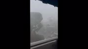 temp