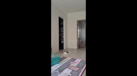 Child wears fake nails on hands and feet in Mykolaiv, Ukraine