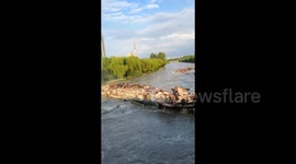 暴雨泄洪引发惊险一幕 景观船撞上桥梁后瞬间粉碎
