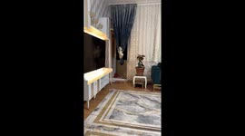 Cat sways on curtain knot in Samsun, Türkiye