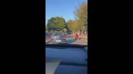 Person in wheelchair moves at high speed on road in Málaga, Spain