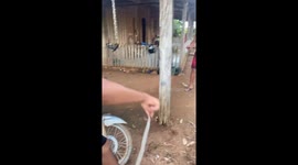 Person stumbles on dog after snake prank in Montenegro