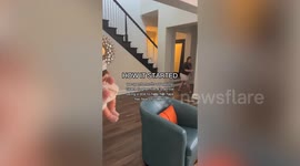 Soon-to-be aunt with Down syndrome used toy doll to get used to babies