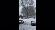 temp