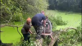 UK: Cinnamon the Capybara's Great Escape Ends in Joyful Reunion at Hoo Zoo