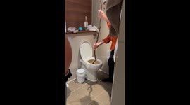 The aftermath of a toilet blockage on a family holiday in Center Parcs when dad found stick in the forest to unblock it.