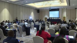 Chinese, Ethiopian diplomats call for establishing int'l mediation organization