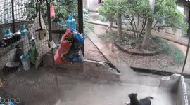 Chilling moment vengeful friend carries barbell to batter pal to death