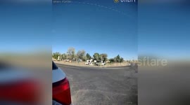 US: Heartwarming Reunion: Weld County Community's Vigilance Saves the Day for Missing Child