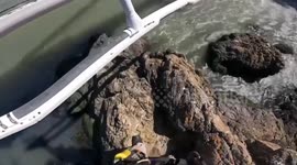 US: Dramatic Hoist Rescue Saves Woman After Perilous Fall at China Camp