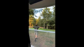 Lads have hilarious gobble chat with wild turkeys on a golf course