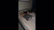 temp