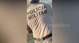 Dolphin freed after becoming tangled in illegal fishing net