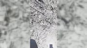temp